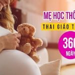 Mẹ học thông thái – Thai giáo toàn diện 360 ngày